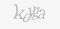 Защитный код